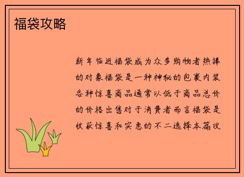 福袋攻略